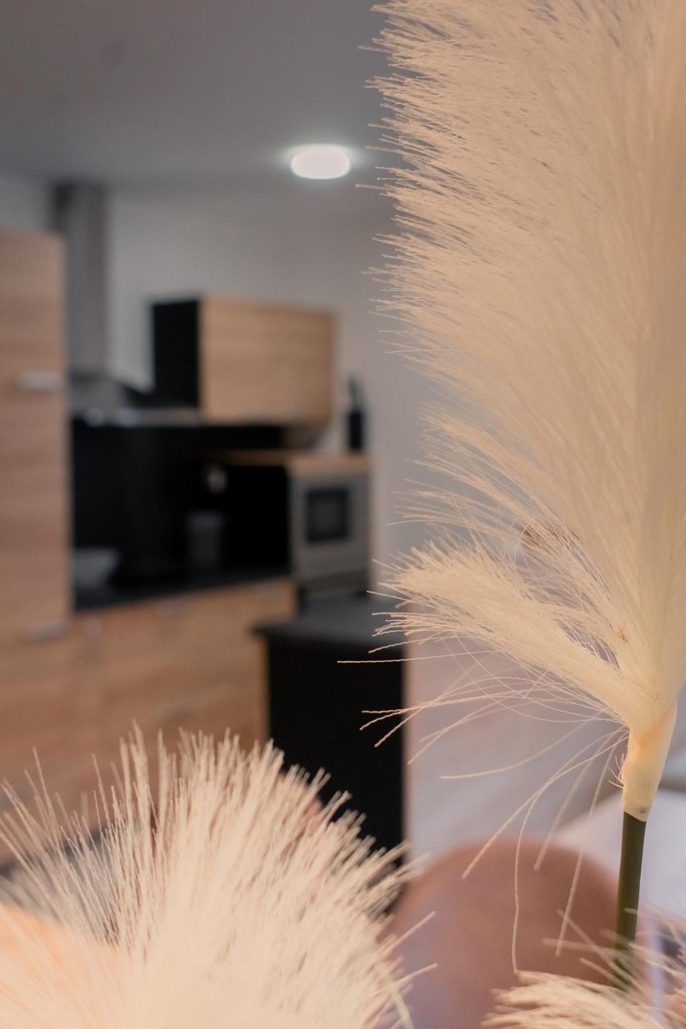 Prima Countryside Apartments ゴレンスカ地方 部屋 写真