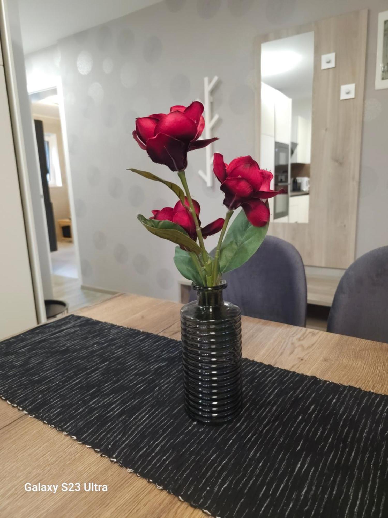 Prima Countryside Apartments ゴレンスカ地方 部屋 写真